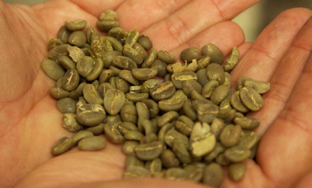store green coffee beans